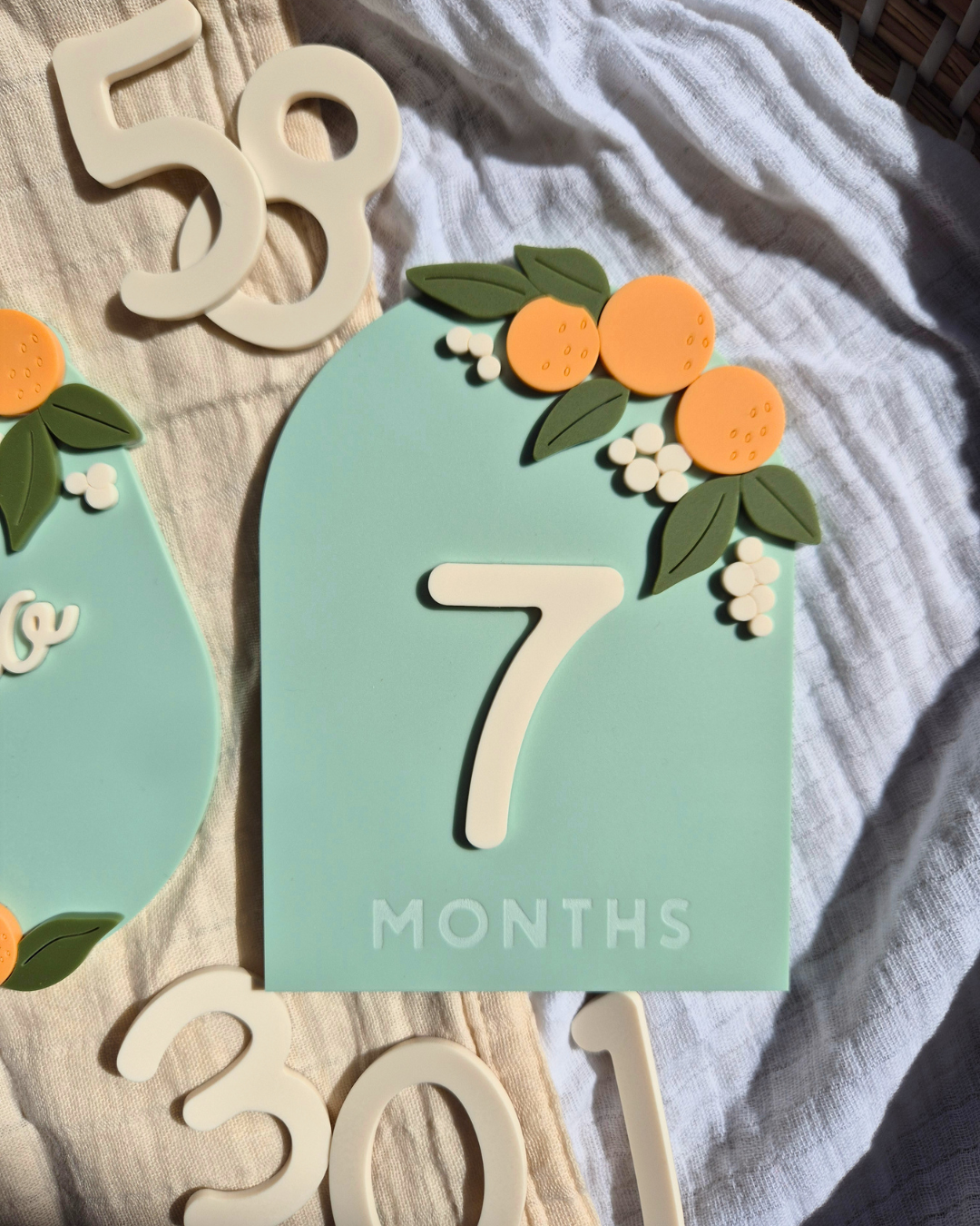 Orange Blossom Baby Milestone Plaque and Interchangeable Numbers