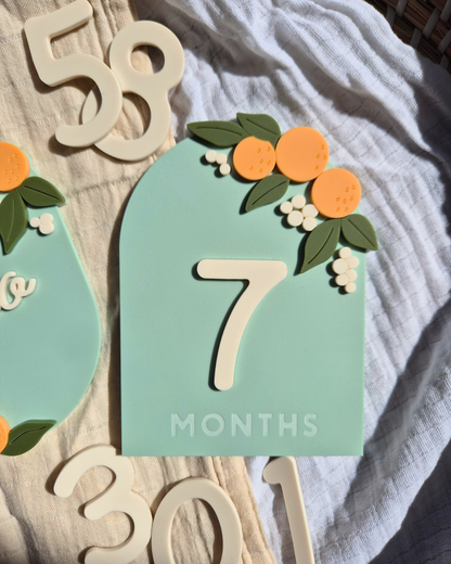 Orange Blossom Baby Milestone Plaque and Interchangeable Numbers