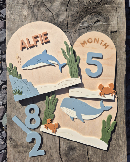 Whale Birth Announcement - Wooden and Acrylic Personalised Name Sign