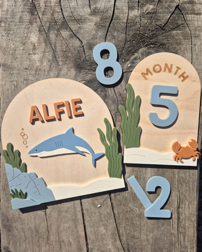 Shark Birth Announcement - Wooden and Acrylic Personalised Name Sign
