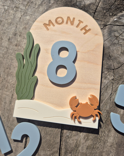 Under The Sea Milestone Plaque - Wooden and Acrylic Baby Photo Prop Sign