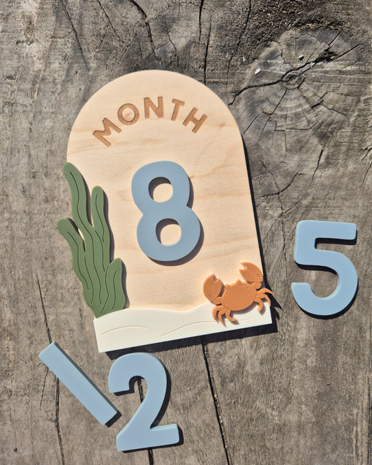 Under The Sea Milestone Plaque - Wooden and Acrylic Baby Photo Prop Sign