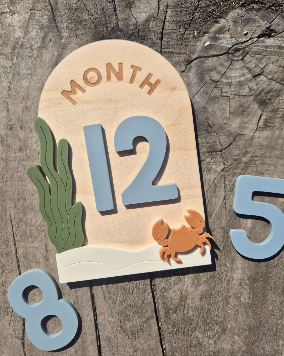 Under The Sea Milestone Plaque - Wooden and Acrylic Baby Photo Prop Sign