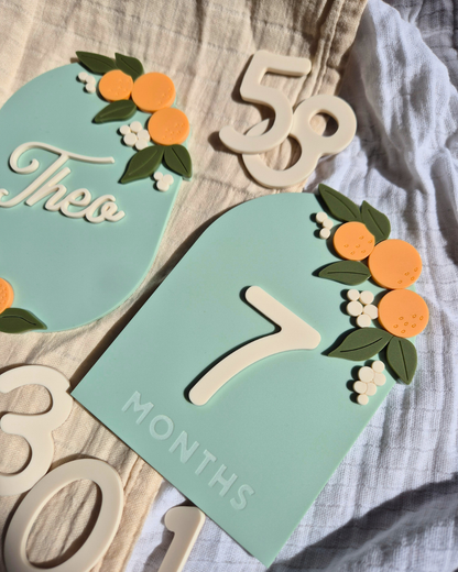 Orange Blossom Baby Milestone Plaque and Interchangeable Numbers