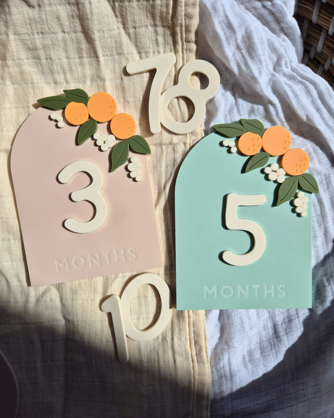 Orange Blossom Baby Milestone Plaque and Interchangeable Numbers