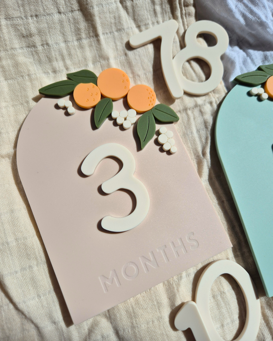 Orange Blossom Baby Milestone Plaque and Interchangeable Numbers