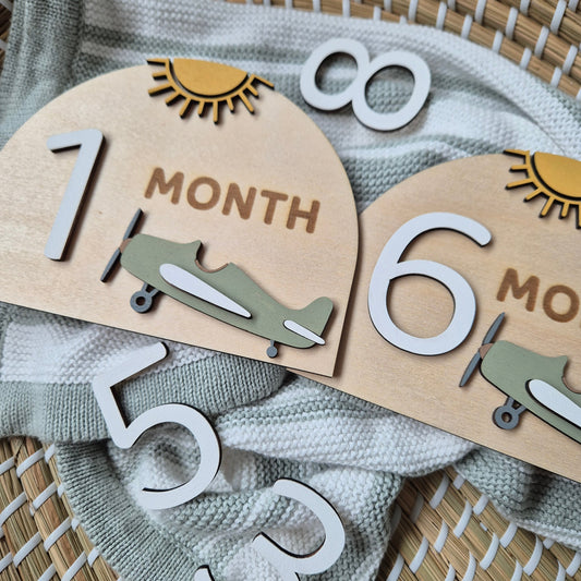 Vintage Plane Interchangeable Milestones Arch Plaques - Wooden Photo Props